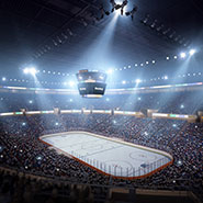 대형실내경기장